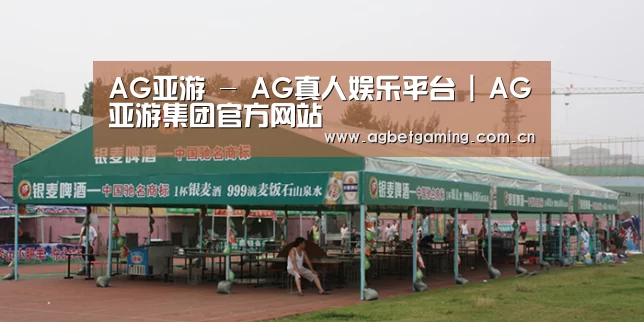 案例标题七