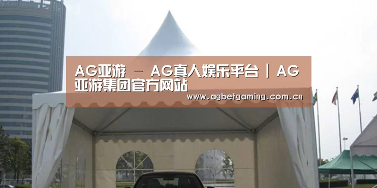 案例标题八