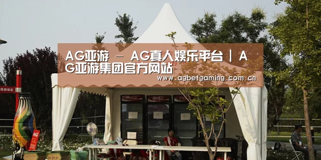 案例标题五