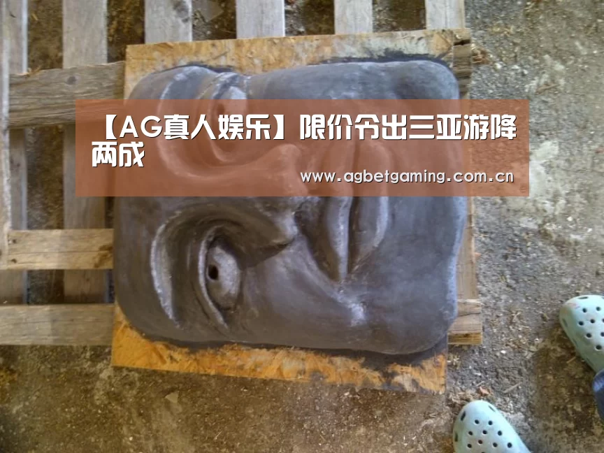 【AG真人娱乐】限价令出三亚游降两成(图3) AG亚游