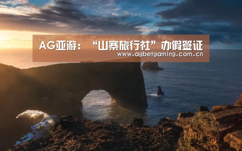 AG亚游:“山寨旅行社”办假签证(图1) AG体育
