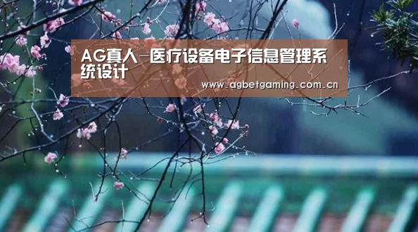 AG真人-医疗设备电子信息管理系统设计(图4) AG真人